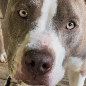 Meet your Posher, Cierra